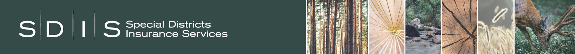 sdis-header