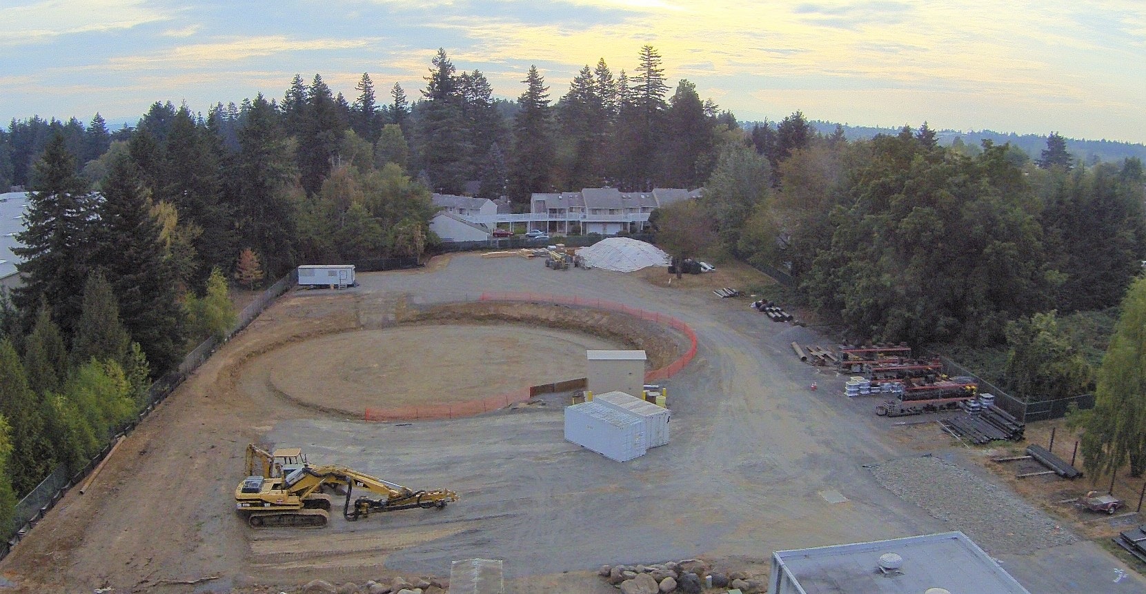 May contain: tree, plant, fir, and abies