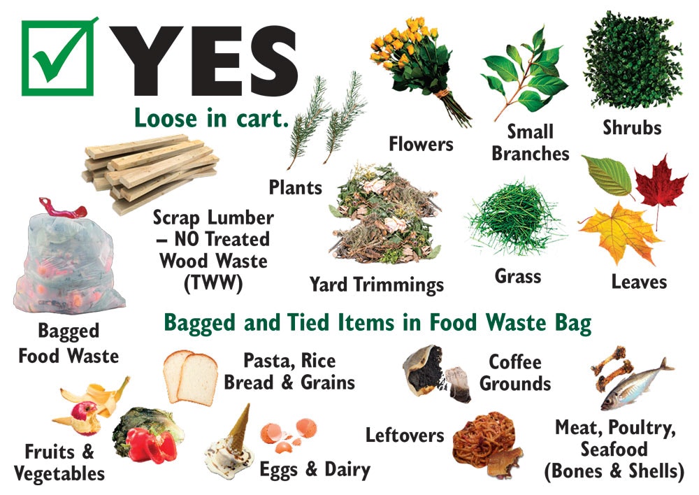May contain: potted plant, plant, vase, jar, pottery, herbal, planter, and herbs