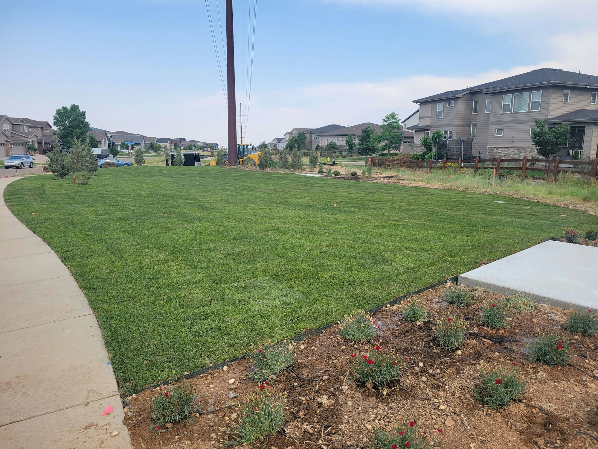 A green lawn with some flowers, power lines, and houses in the background, along a curved sidewalk in a suburban area.