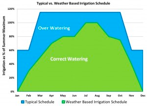 watering recommendations