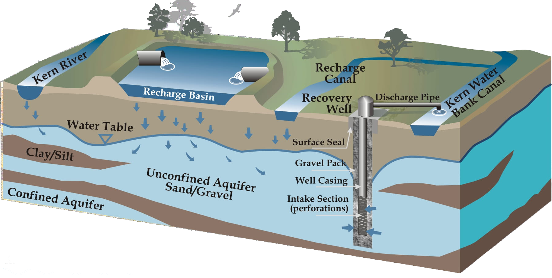 Diagram of a groundwater recharge system with a river, recharge basin, aquifers, and recovery well.