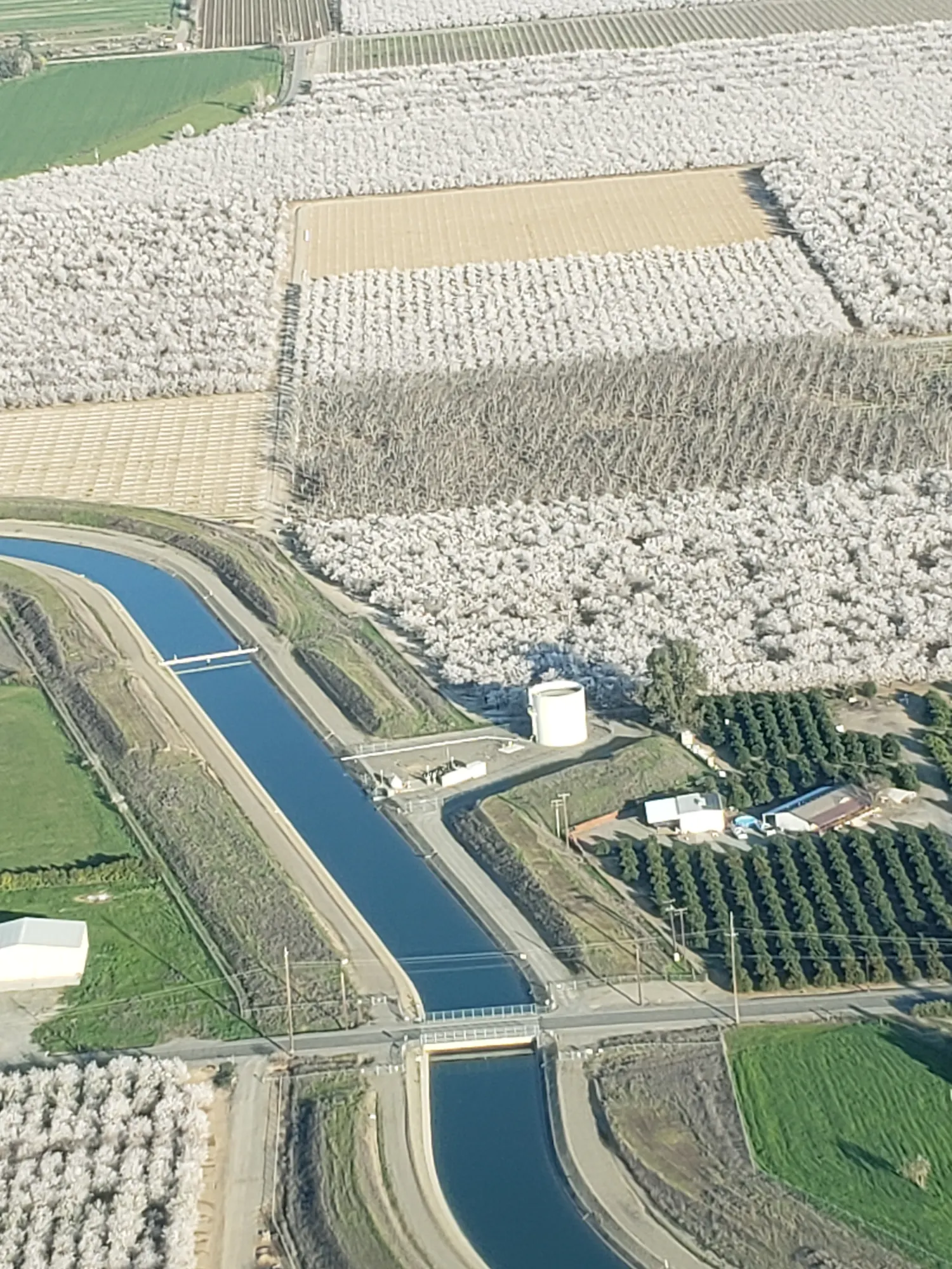 An aerial view shows agricultural fields with blossom trees, a water canal, and farm structures amidst fertile land.