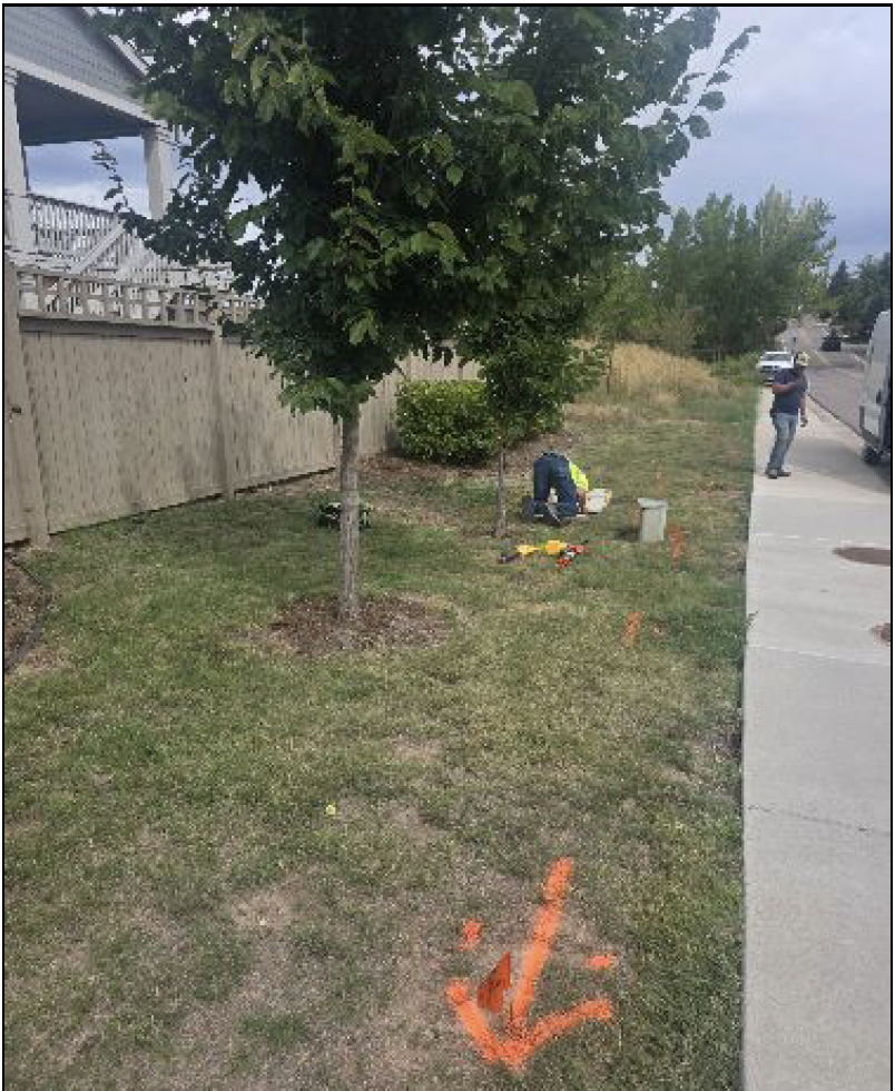 A person working near trees beside a sidewalk, with an orange spray-painted arrow on the grass. Another person stands nearby.