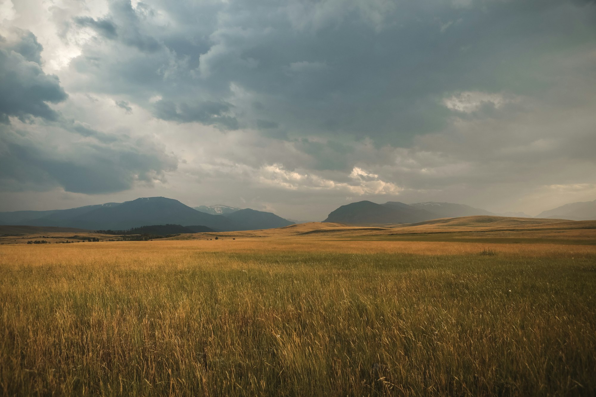 A serene landscape with golden grasslands and distant mountains under a dramatic, cloudy sky. Nature's beauty and tranquility.