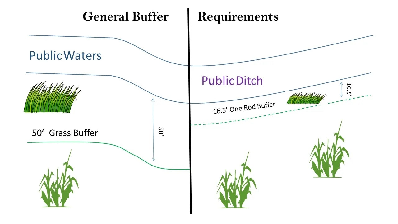 Diagram showing buffer requirements: 50' grass buffer for public waters, 16.5' one rod buffer for public ditch.