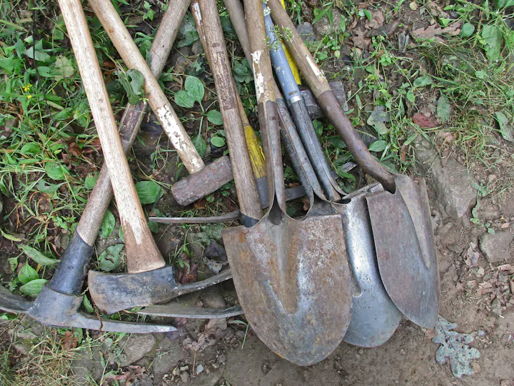 A collection of various gardening tools, including shovels and picks, resting on the ground among grass and leaves.