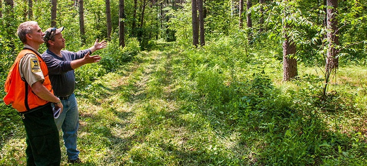 Two people stand on a forest path, one in a safety vest gesturing towards the trees, surrounded by lush greenery.