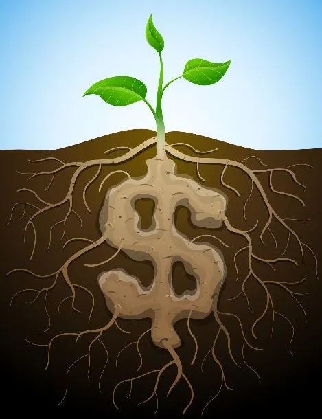 A small plant growing from soil, with roots shaped like a dollar sign.
