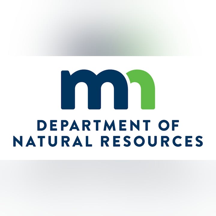 Logo for the Department of Natural Resources featuring "mn" with a green accent.