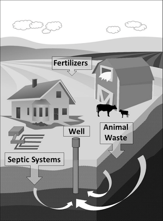 Diagram showing sources of groundwater contamination: fertilizers, septic systems, and animal waste affecting a well.