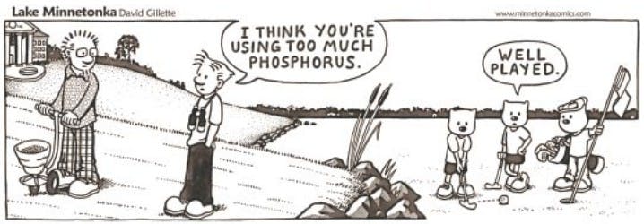 A comic strip depicting a man criticizing a landowner's phosphorus use on the lawn of their lakeshore property. Nearby animals play golf on the vegetation-carpeted lake and comment, “Well played.”