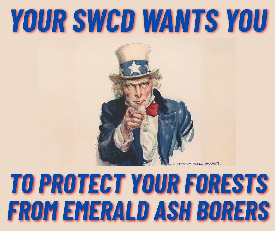 A call to action from your SWCD urging protection of forests against emerald ash borers, featuring an iconic propaganda image.