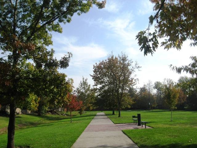 May contain: plant, grass, outdoors, park, lawn, path, and furniture