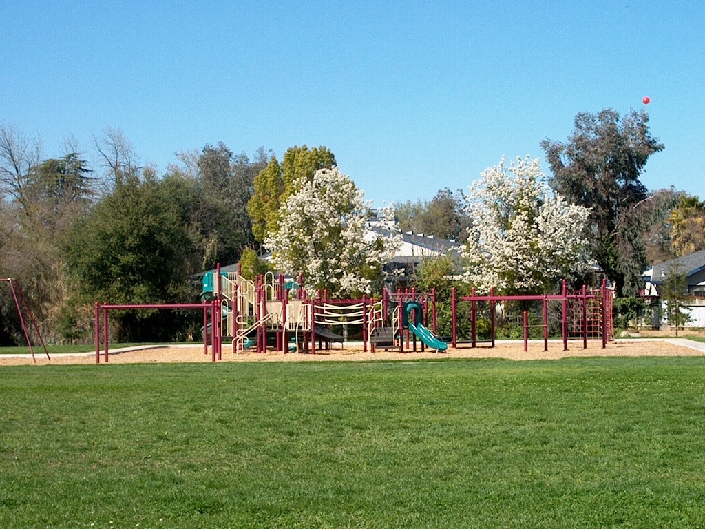 May contain: plant, grass, playground, and play area