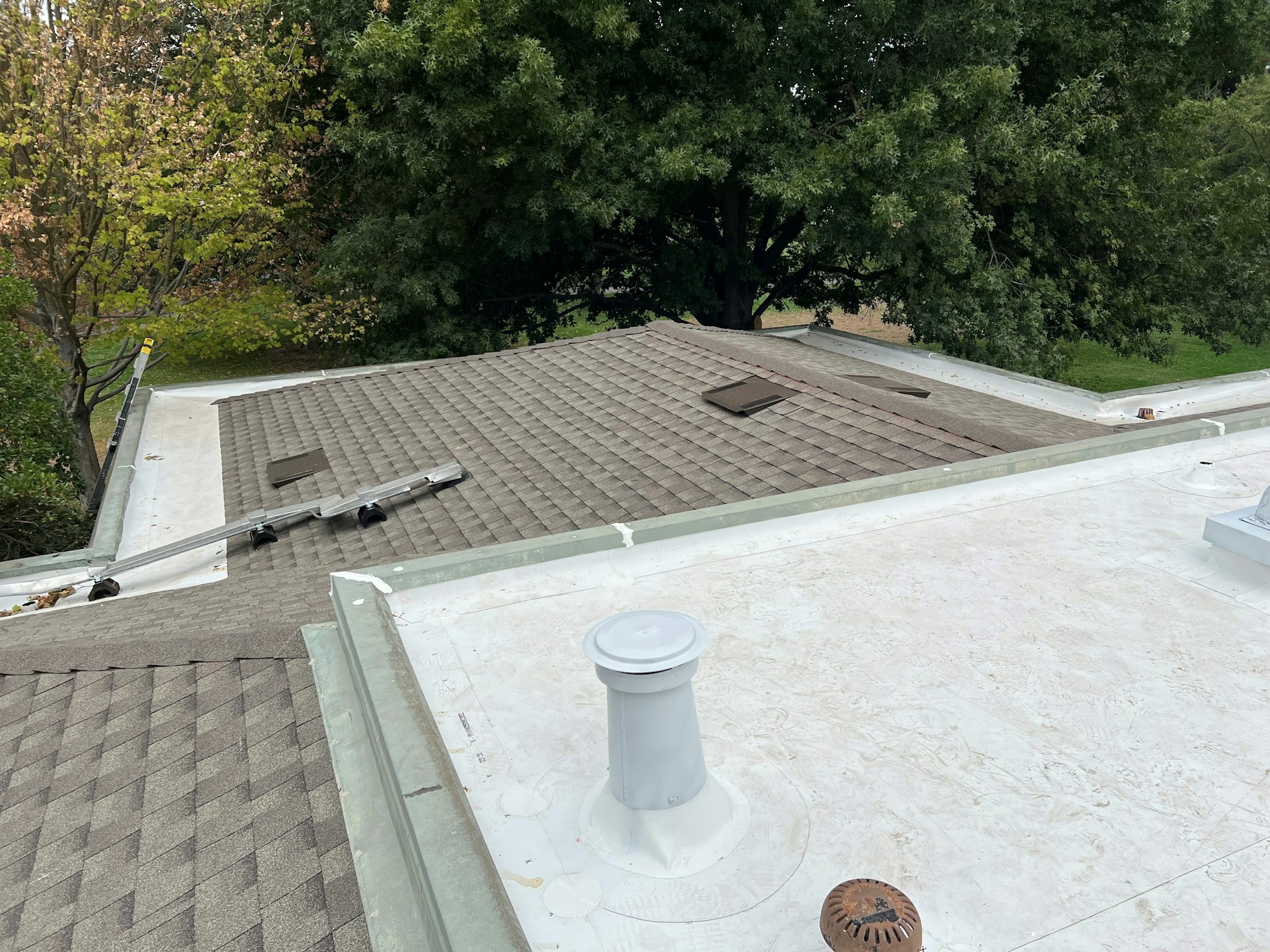 A rooftop with shingles and flat white sections, nearby trees, and some ventilation pipes.