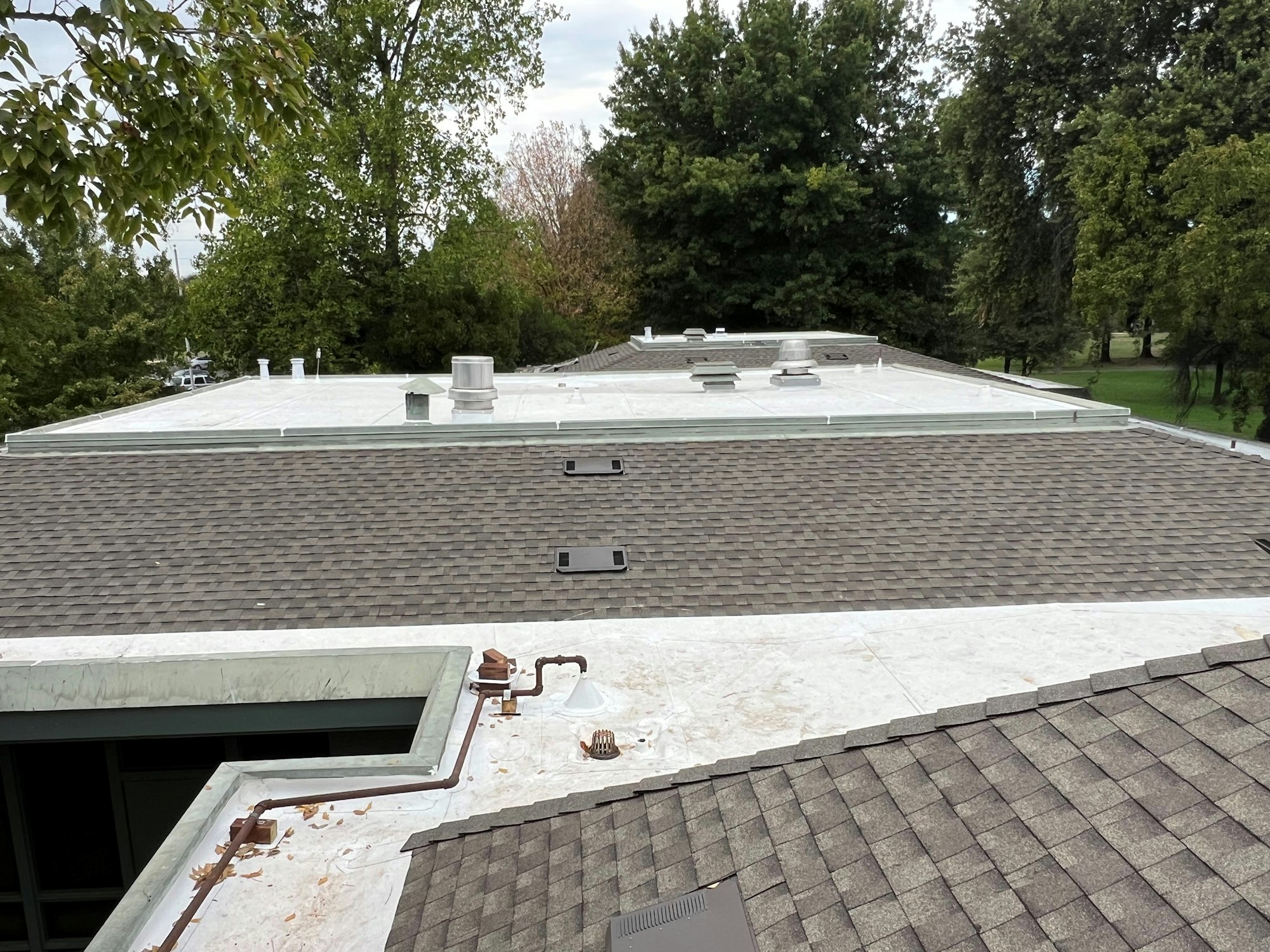 Rooftop view with shingles and flat areas, surrounded by trees in the background.