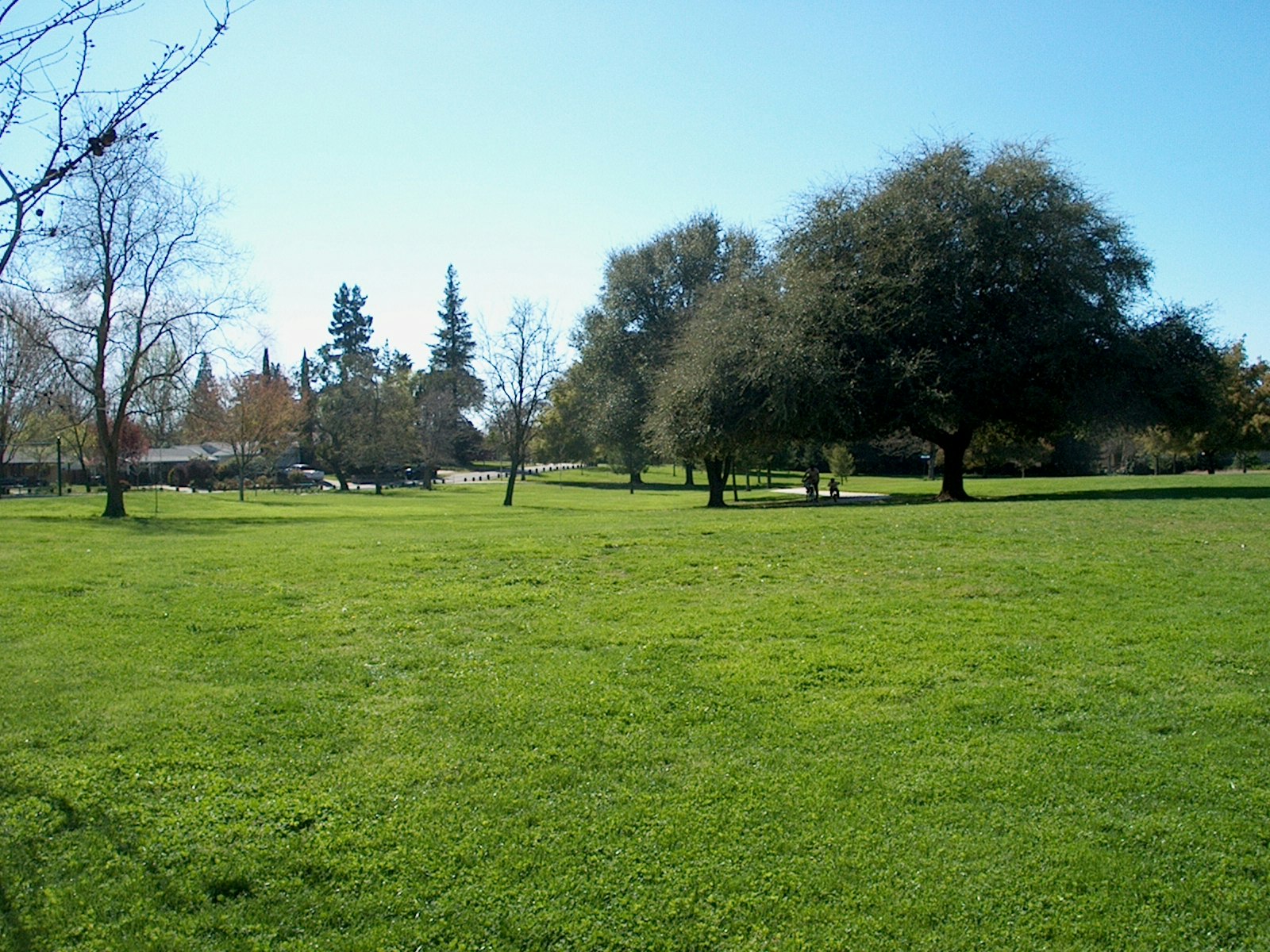 May contain: grass, plant, lawn, park, and outdoors