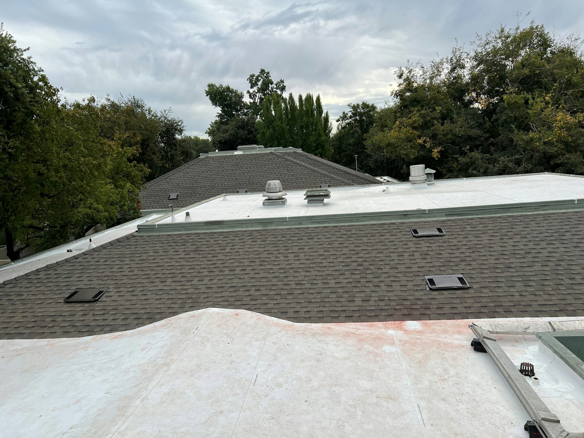 A view of rooftops with shingles and vents, surrounded by trees under a cloudy sky.