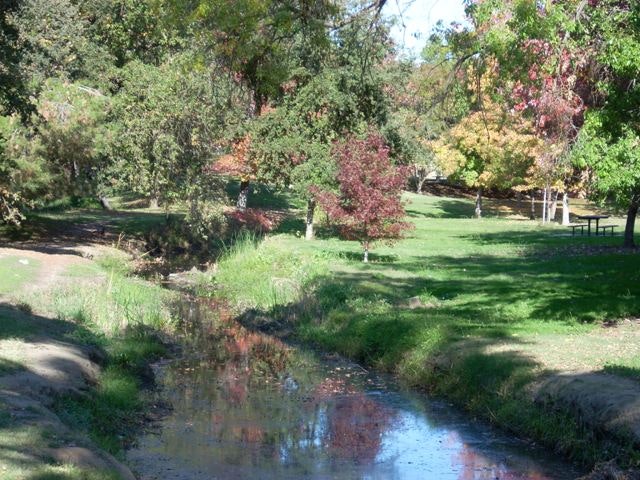 May contain: outdoors, water, nature, path, plant, and vegetation