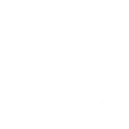 arrow pointing to the right icon