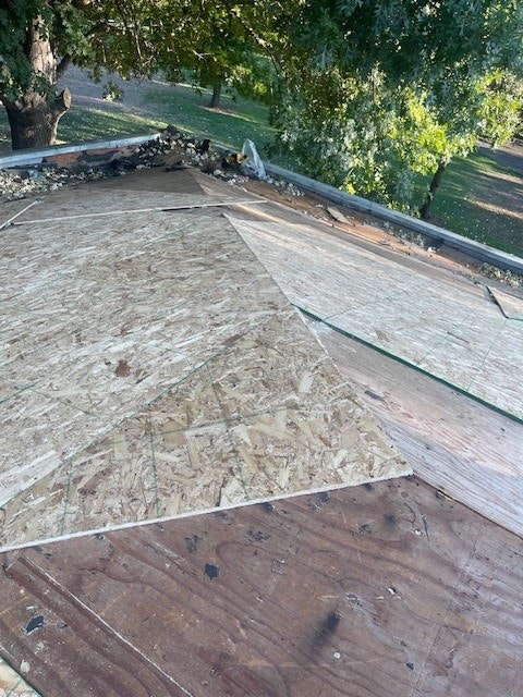 Plywood sheets on a rooftop, with trees in the background.