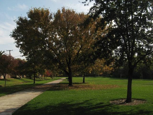 May contain: grass, plant, tree, lawn, park, outdoors, and tree trunk