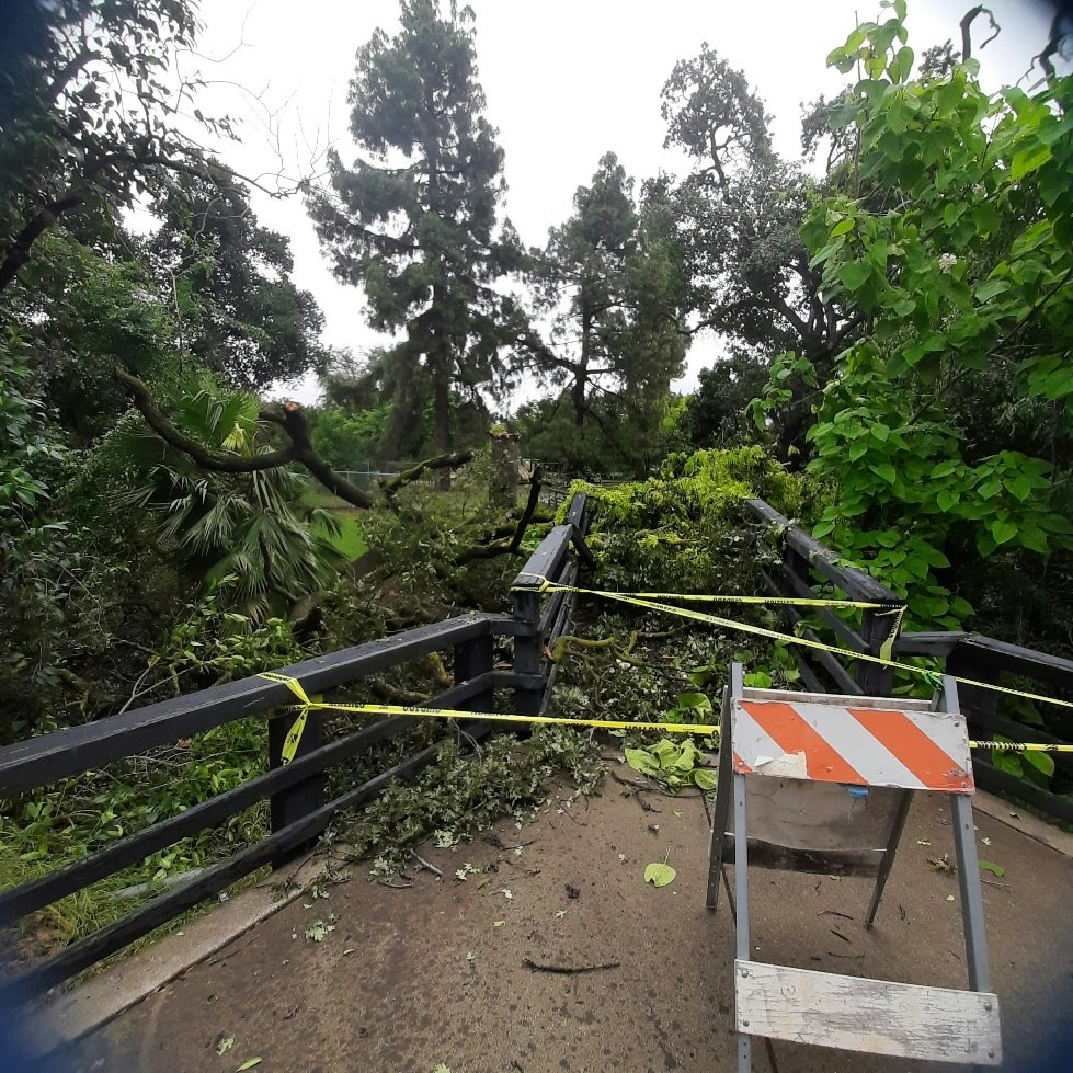A bridge is blocked by fallen branches and leaves, with caution tape and a barrier indicating it's unsafe to cross.