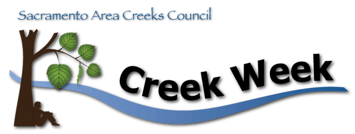 Creek Week logo banner