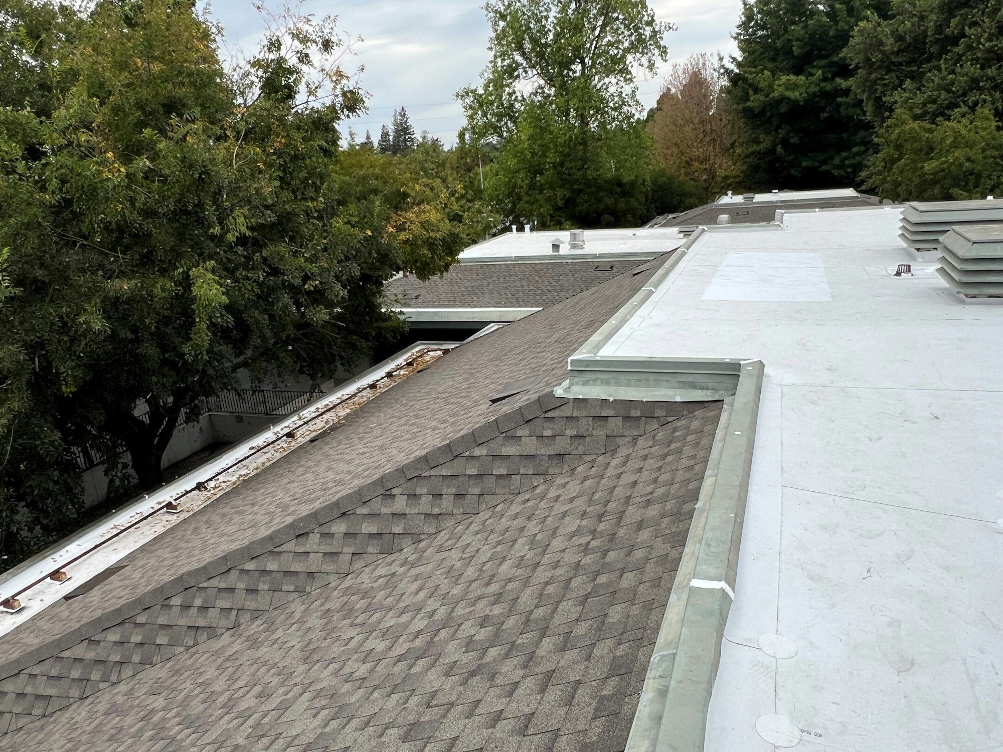 Rooftops with shingles and flat sections, surrounded by trees.