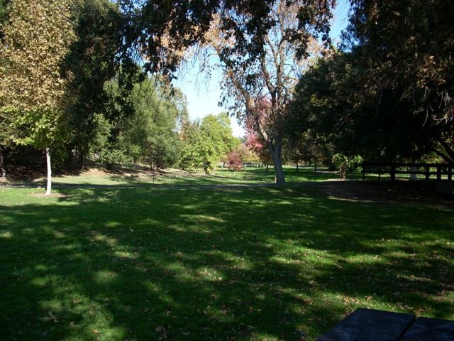 May contain: grass, plant, outdoors, lawn, park, tree, and vegetation