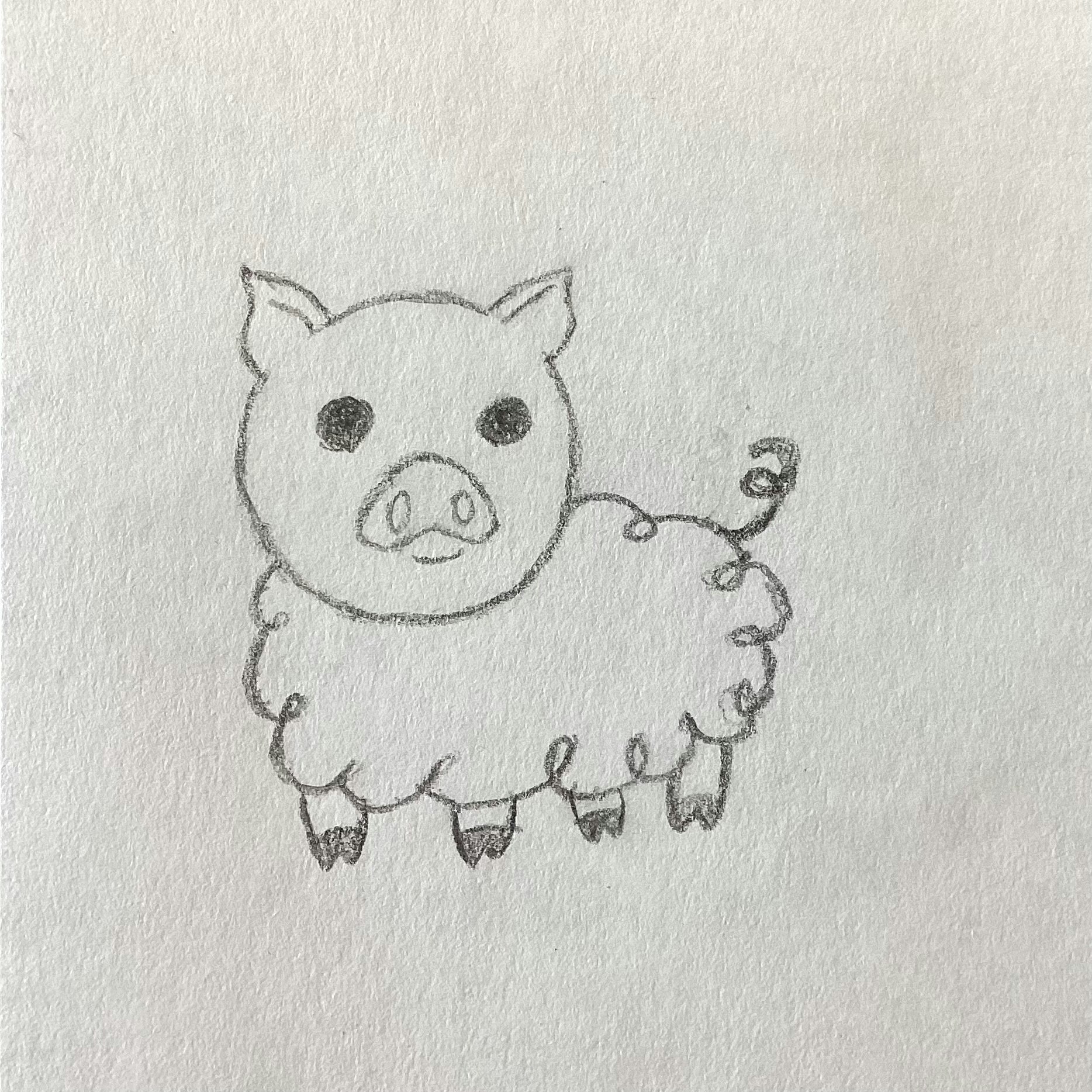 A cute sketch of a pig with a fluffy body, resembling a sheep, and a curly tail.