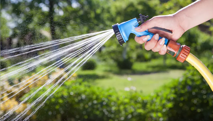A person is holding a blue garden hose nozzle, spraying water in a lush green setting.