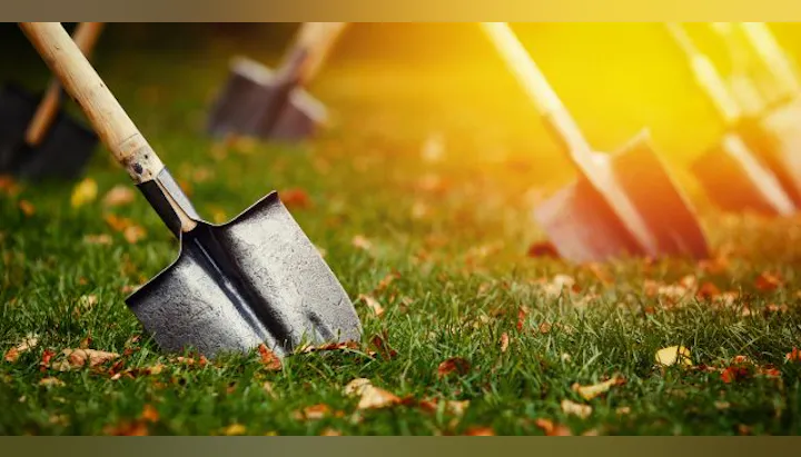 A close-up of several shovels planted in grass, with scattered leaves and a warm, glowing background.