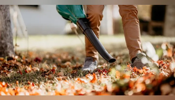 A person using a leaf blower to clear fallen leaves in a yard, surrounded by autumn foliage.