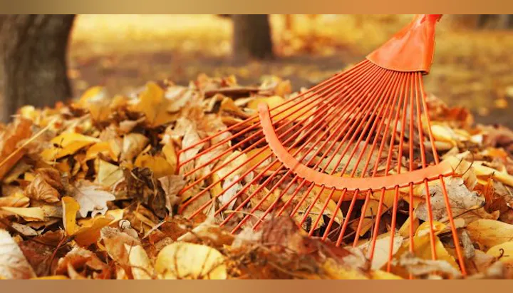 An orange rake rests atop a pile of autumn leaves, capturing the essence of fall cleanup.