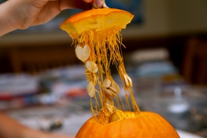 A hand holding the top of a pumpkin, revealing its stringy insides and seeds.