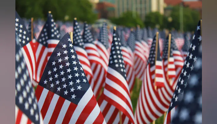 The image depicts a field filled with numerous small American flags, creating a patriotic display.