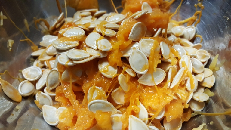 A close-up of pumpkin seeds mixed with stringy pulp in a bowl, likely prepared for cooking or baking.