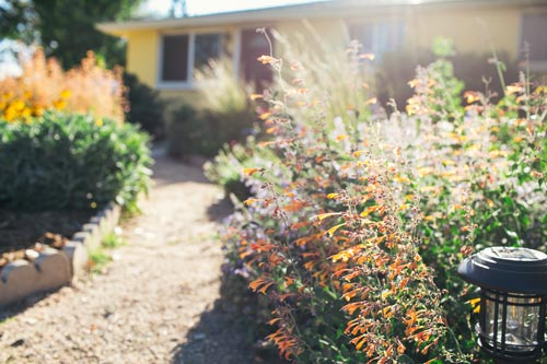 A sunlit garden path lined with colorful flowers and green plants, leading to a house in the background.