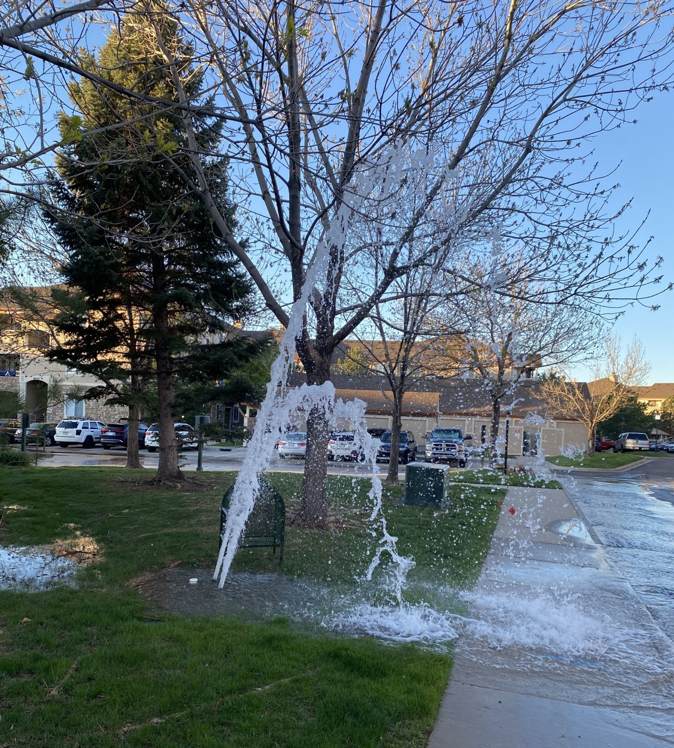 May contain: architecture, fountain, water, plant, tree, grass, nature, outdoors, park, neighborhood, city, car, transportation, vehicle, building, shelter, and vegetation