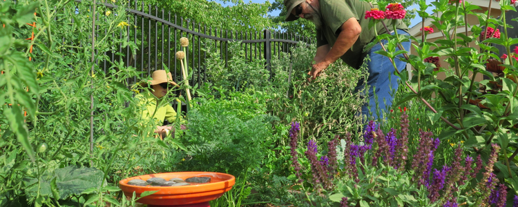 May contain: outdoors, garden, person, human, gardener, worker, and gardening
