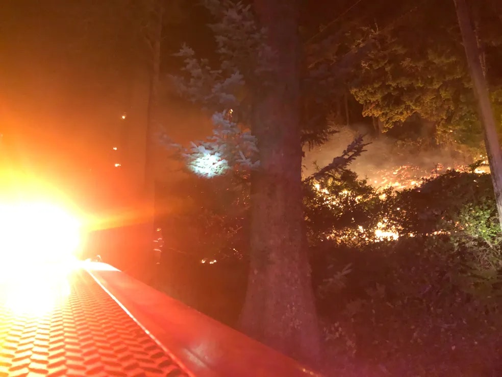 wildfire burns in brush in the distance while the light of a fire truck siren glows on the left