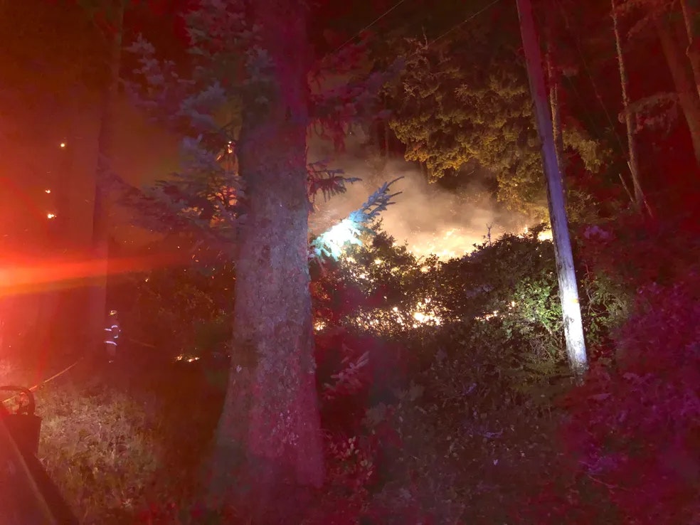 nature shot of a forest fire at night