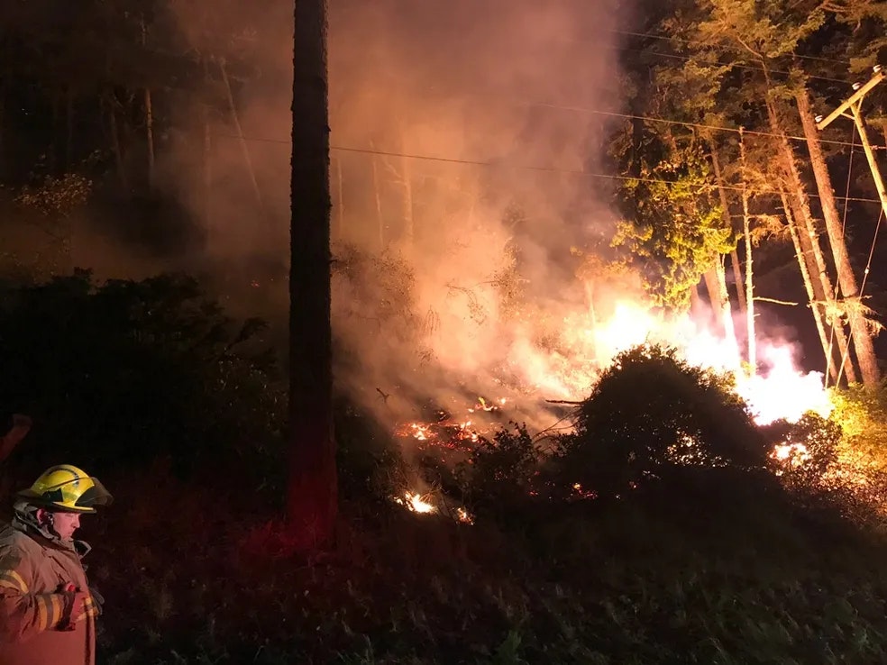 a firefighter in uniform with a helmet while brush burns behind him.