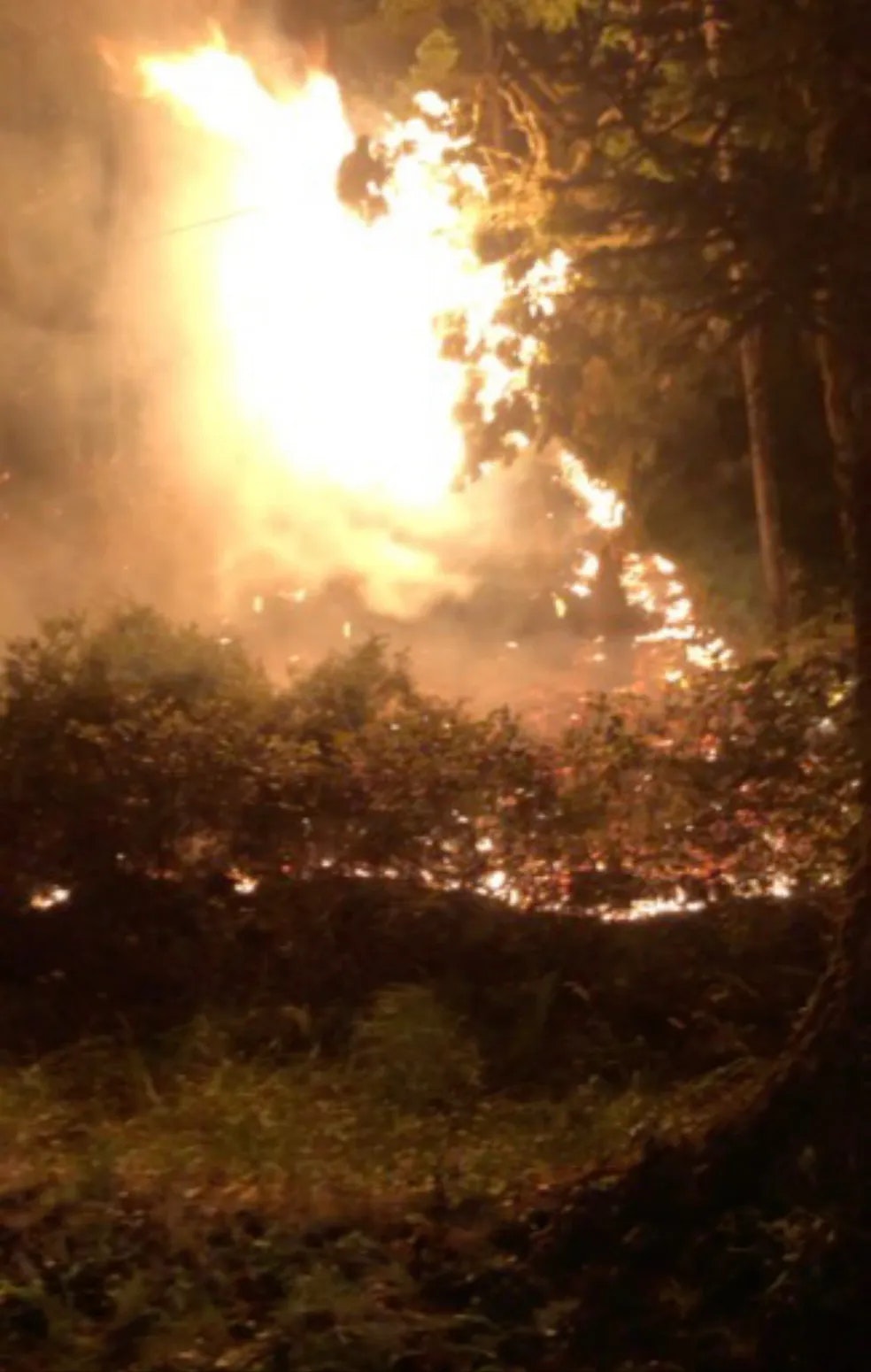 wildfire at night with intense flames