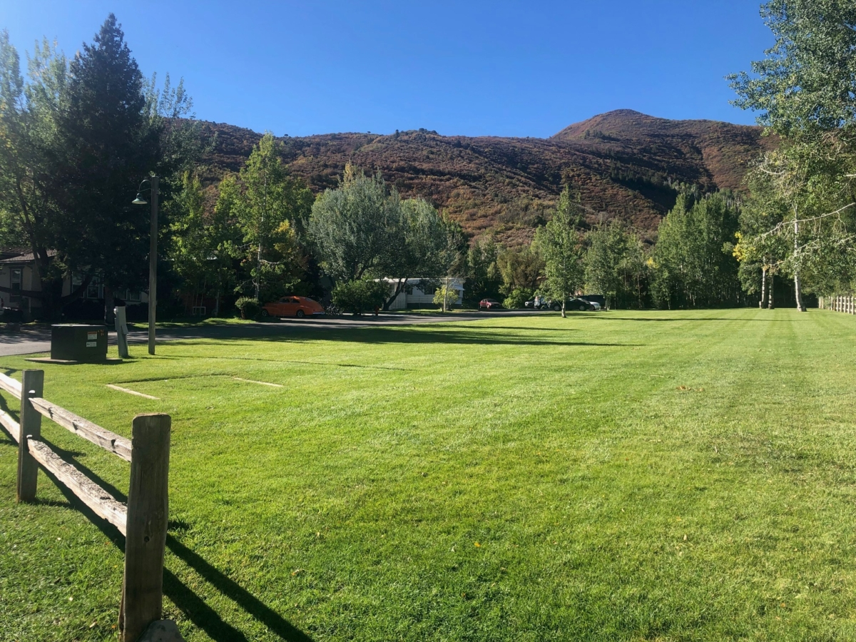 A sunny landscape with green grass, trees, and hills in the background, showcasing a peaceful outdoor setting.
