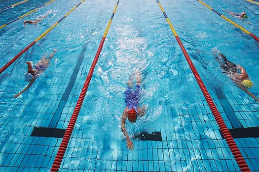 Swimmers racing in a pool with marked lanes.