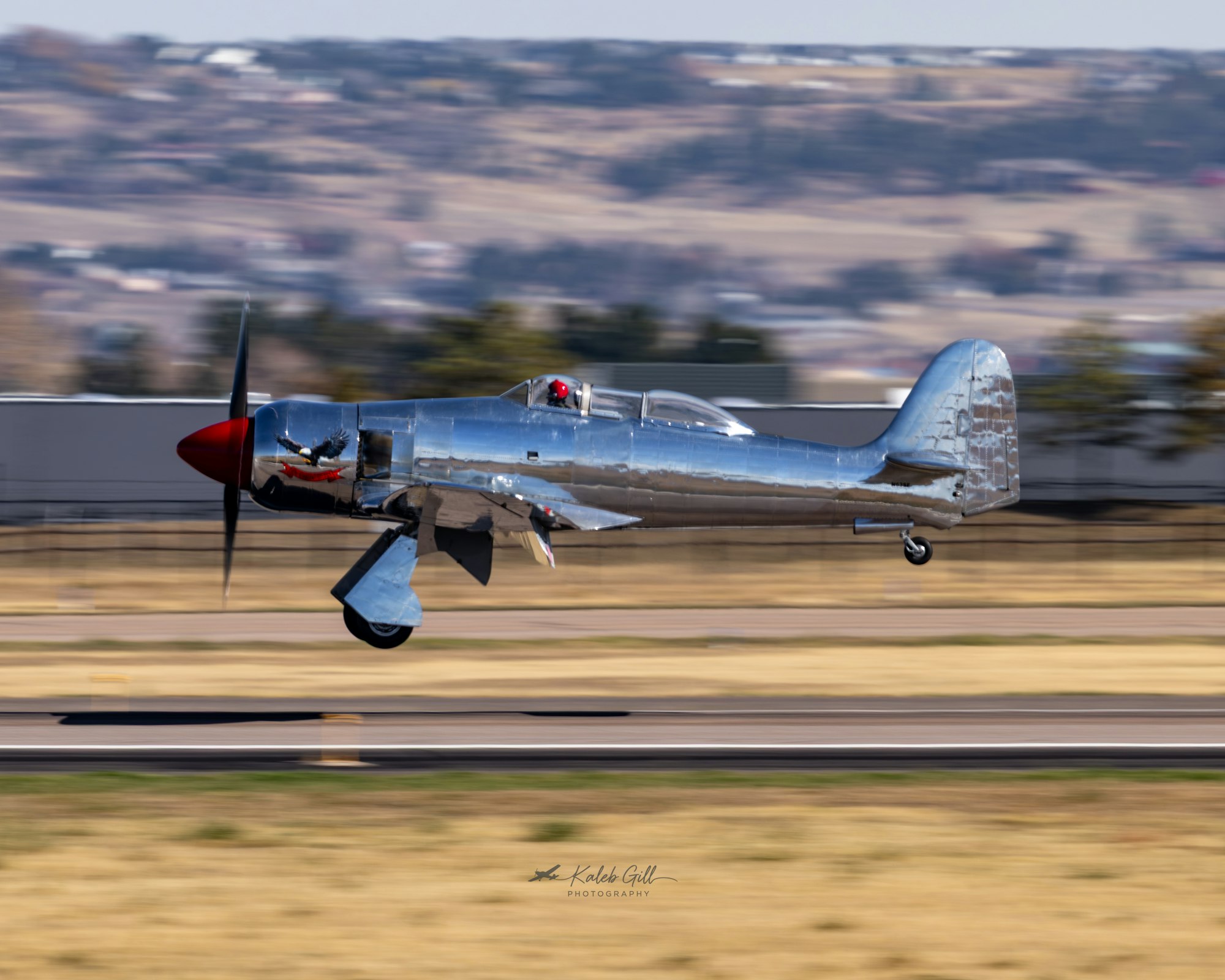 A shiny vintage airplane with a red nose takes off, captured in motion against a blurred landscape.