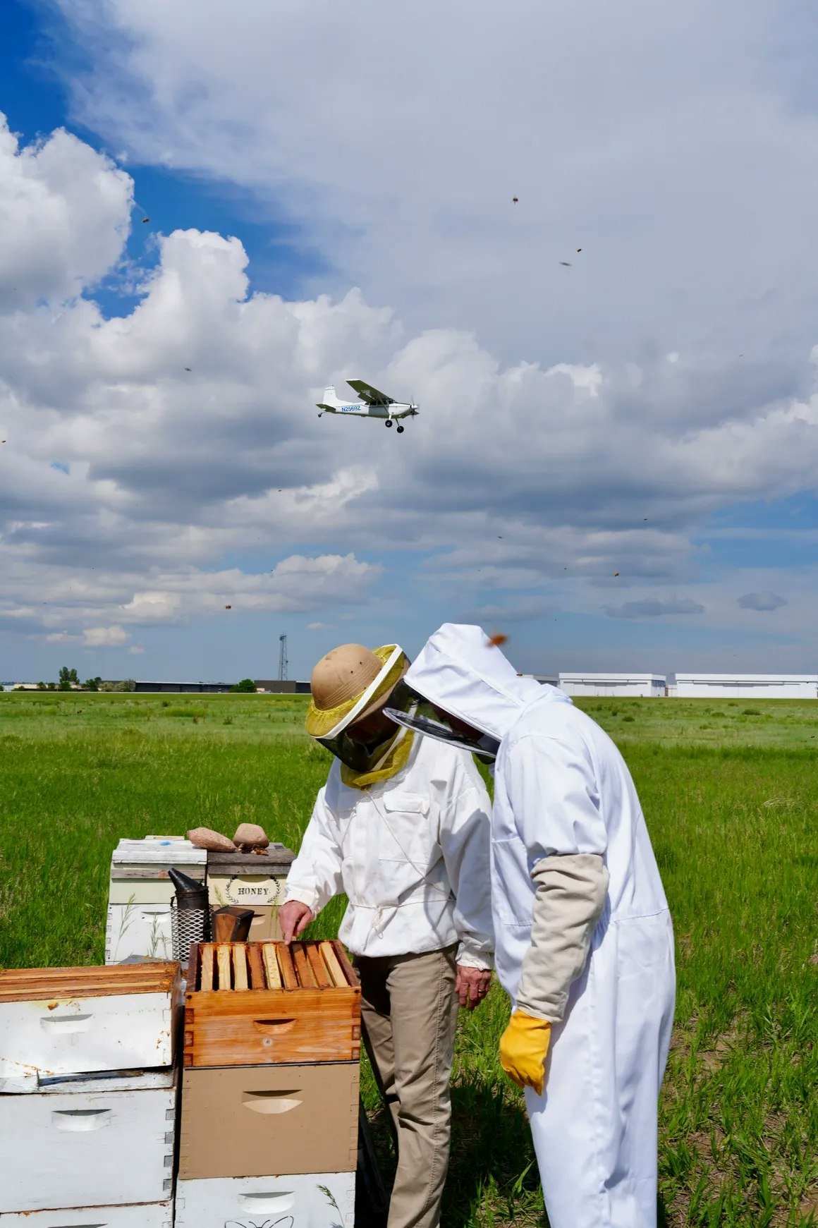 Two people in beekeeping suits examine a beehive in a field, with a small plane flying overhead.